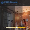 Eva's Light Smart Dimmer Plug, WiFi Outdoor Smart Plug, IP65