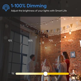 Eva's Light Smart Dimmer Plug, WiFi Outdoor Smart Plug, IP65 Waterproof, 1%-100% Dimmable, 2.4Ghz Wi-Fi, Compatible with Alexa & Google Assistant, No Hub Required, Max 400W, Black