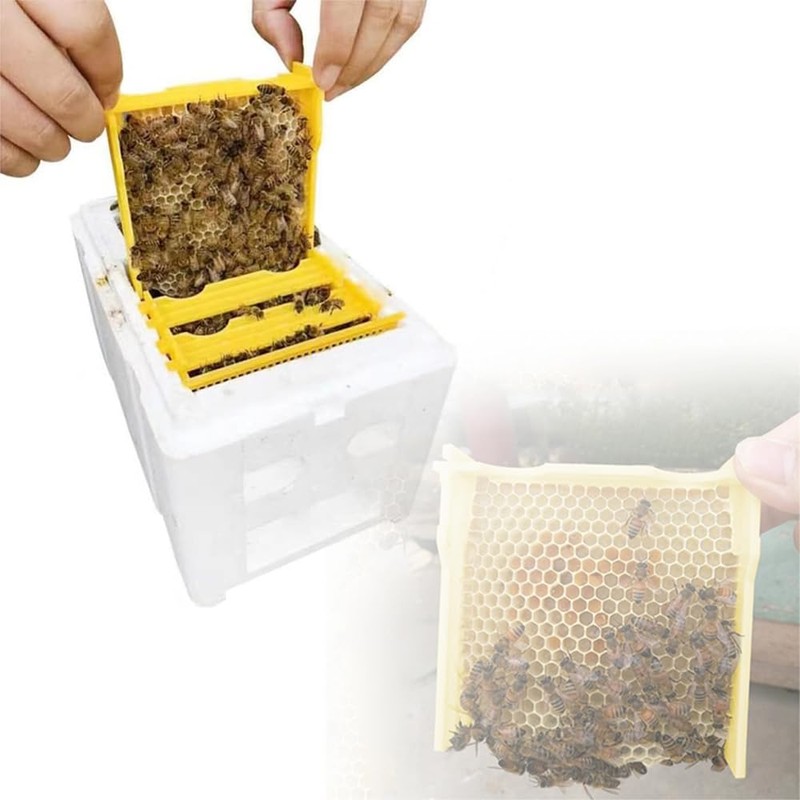 TOMVAES Bee Hive Box Bee Box Single Layer Foam Box