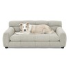 Kurhwyss Comfort Dog Sofa with Backrest and Armrests, Big Dog
