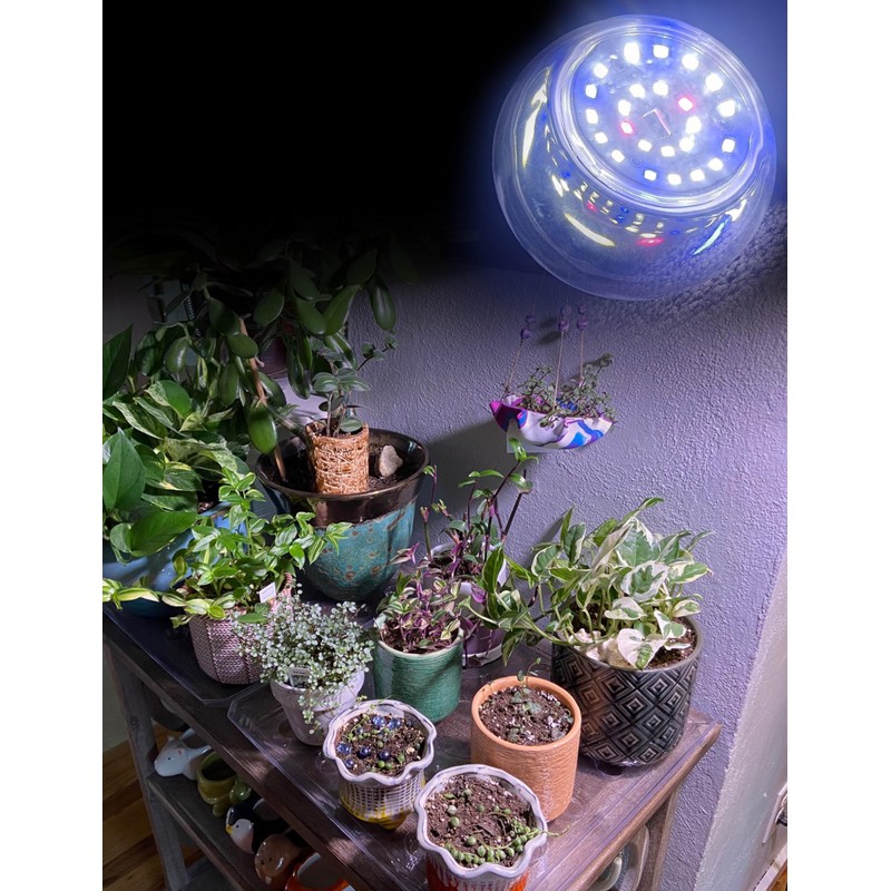 Xyanmc 2 Pack E12 Small Candelabra Base LED Grow Light