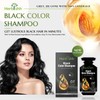 3 in 1 Hair Color Dye Black Pouch 30mlx10p +