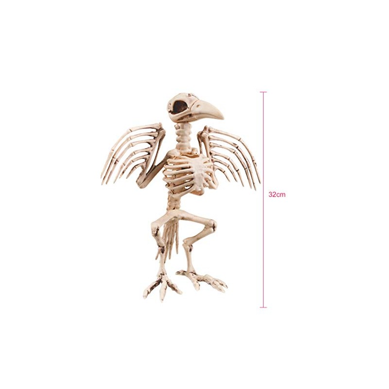 Boland Skeleton Bird Decoration (32 Cm)