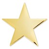 PinMart's Gold Star Pin Magnetic Back