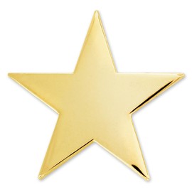 PinMart's Gold Star Pin Magnetic Back