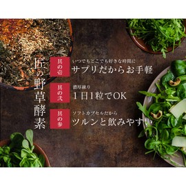 シードコムス 匠の野草酵素 サプリメント 乳酸菌 生酵素をカプセルに凝縮 (約12ヶ月分 360粒)