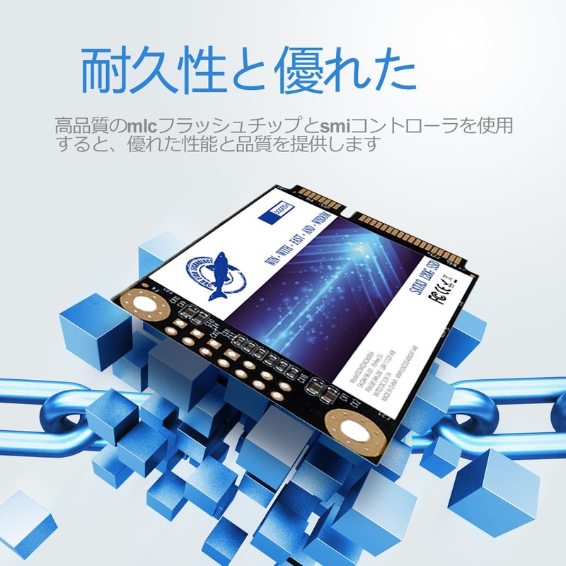 Dogfish Msata 256GB Internal Solid State Drive Mini Sata SSD