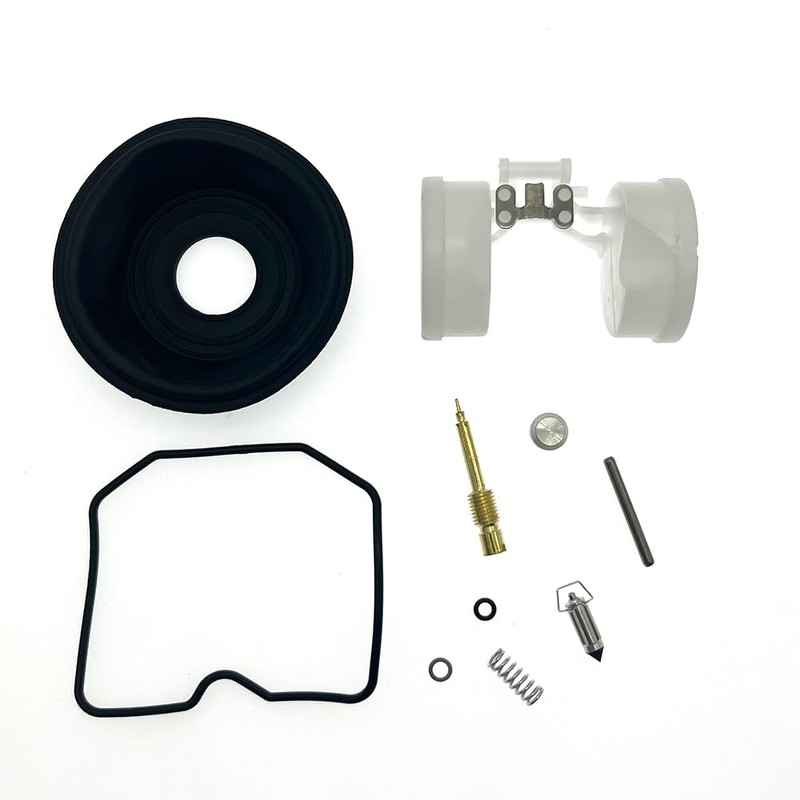 2-Pack Carburetor Repair Kits Carb Rebuild Kit with Diaphragm Float