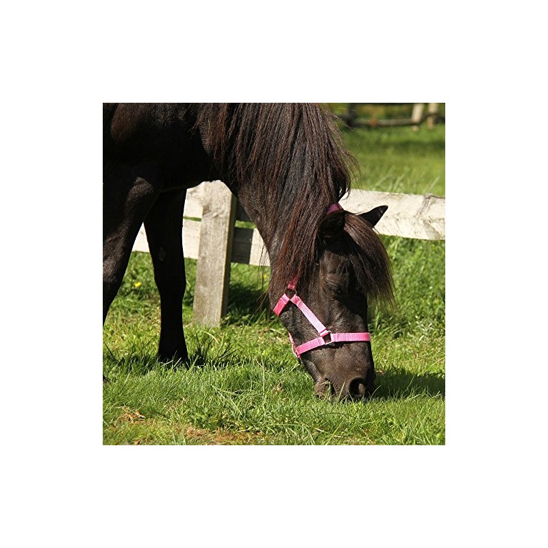 NETPROSHOP Foal Halter 3-Way Adjustable for Foals Falabella Shetty Pony
