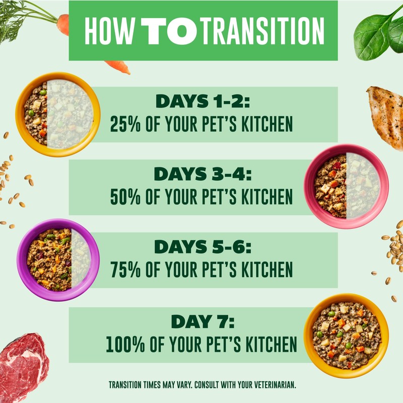 YOUR PET'S KITCHEN Wet Dog Food, Beef Recipe - 13.2