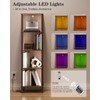 Apetaccat Book Shelf with LED Lights, Modern 4-Tier Bookcase, Open