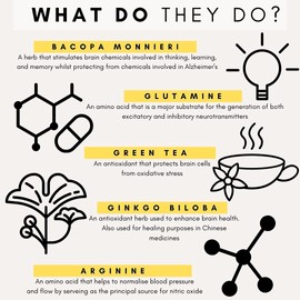 Petz Park Brain Support for Dogs - Promotes Dog Brain Health, Mental Support for Old Dogs, Supplement for Dogs with Cognitive Difficulties - Made in Australia - 180g