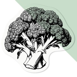 4 x Small 50mm 'Detailed Broccoli' Transparent/Clear Sticker Decals for Windows/Cars/Walls (DC00139760)