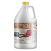CarpetGeneral POG Remover 9452 - Heavy Duty Carpet Stain Remover