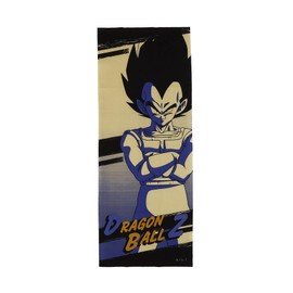 Marushin Tenugui JAPAN 4005011300 Tenugui Japan Bath Souvenir Foreign Foreign Dish Towel Handkerchief