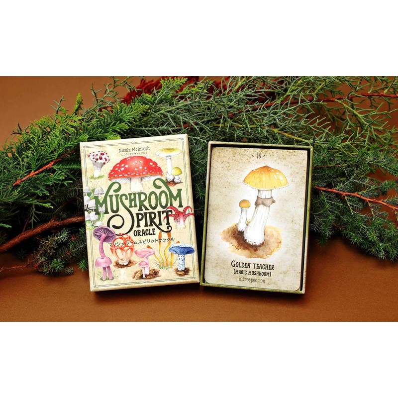 Oracle Card, Japanese Divination, Mushroom, Spirit, Oracle Card, Japanese Instruction