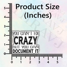 3Pcs You Can't Fix Crazy But You Can Document It Funny Quotes Vinyl Stickers Durable for Laptops Water Bottles Phones Tumblers Notebooks Cars Mugs Size 3 x 2.5 Inch