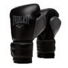 Everlast Powerlock 2R Training Glove - Black - 10 oz