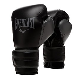 Everlast Powerlock 2R Training Glove - Black - 10 oz