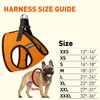 Dogline Boston Step in Mesh Dog Harness with Blind Dog