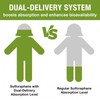 800 MG Liposomal Sulforaphane, Powerful Dual-Delivery for Maximum Absorption &