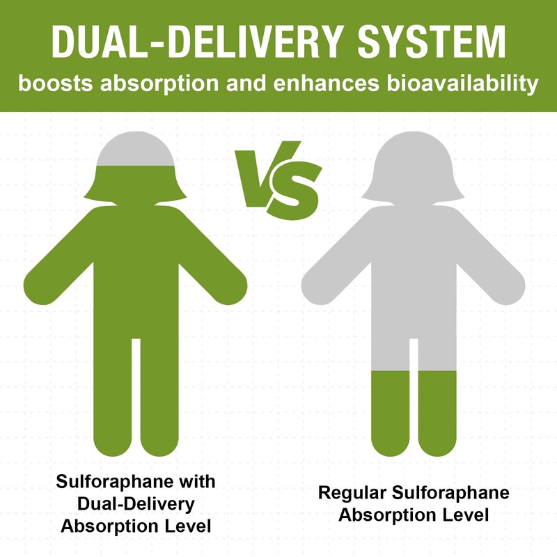 800 MG Liposomal Sulforaphane, Powerful Dual-Delivery for Maximum Absorption &