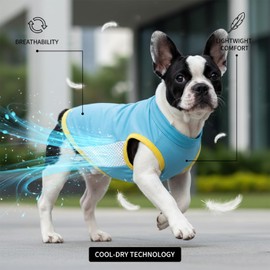 French Bulldog Cooling Vest, UPF 50+ Sun Protection Dog Shirt, Sleeveless Breathable Summer Apparel, Fit for Frenchies (L (Chest 19.3'',Back 8.7''))