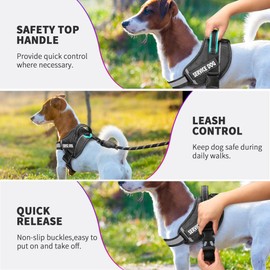 Service Dog Vest, DEWVIE Dog Harness and Leash Set with 10 Patches, Breathable in Training Pet Vest Harness with Soft Handle for Small Medium Large Dogs (Black, Small)