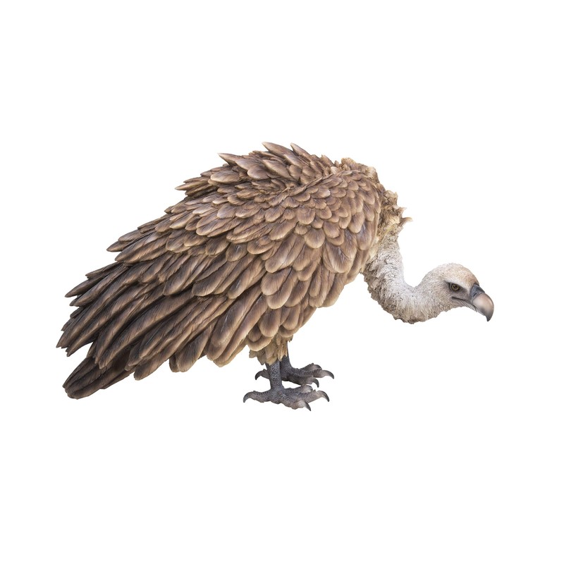 Hi-Line Gift Ltd. Medium Bald Eagle, Brown