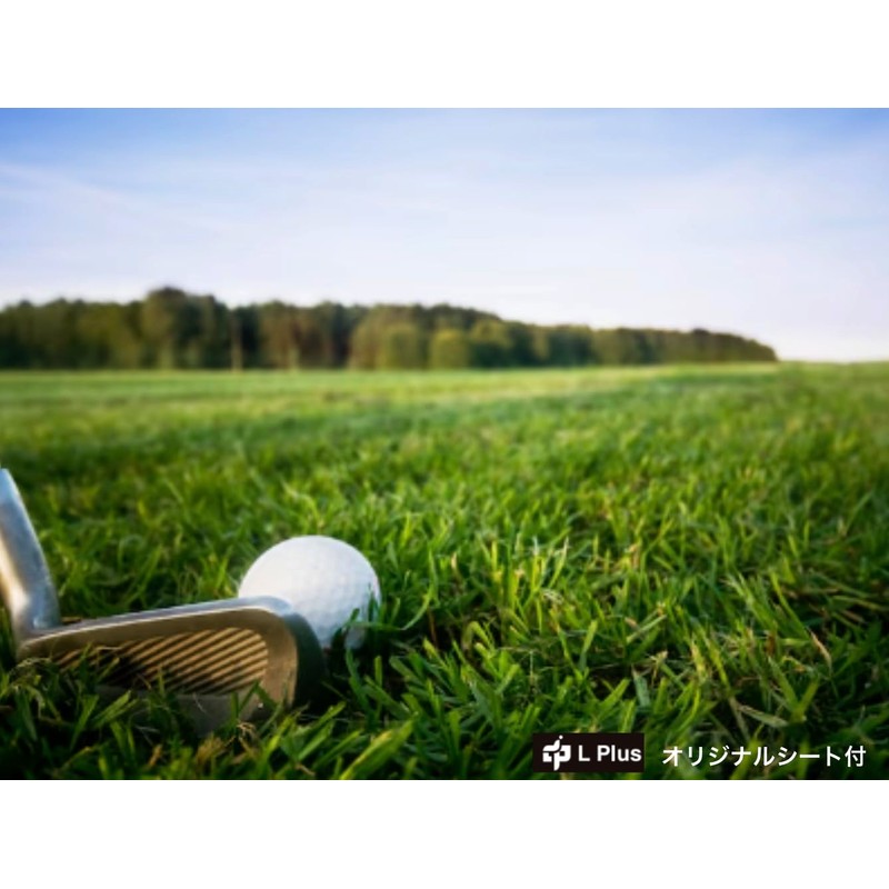 【まとめ買い2ダース】ゼクシオ リバウンド ドライブ２ XXIO REBOUND DRIVE2 2023年 ※オリジナルシート付