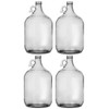 E.C. Kraus 1 gal Glass Jug (Pack of 4)
