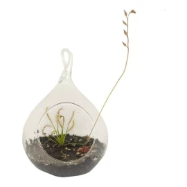 Esfera Para Terrario De Cristal 15cm, 10 Piezas
