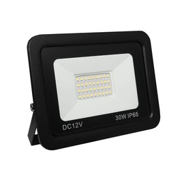 LOWENERGIE LED Floodlight 12V DC Outdoor Lighting Garden Security Flood Light (Day White 6000K, 30W)