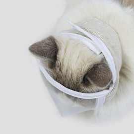 zalati Cat Muzzle Breathable Mesh Clear Face Mask Transparent Face Protection for Grooming Anti-Biting Chewing - Size S