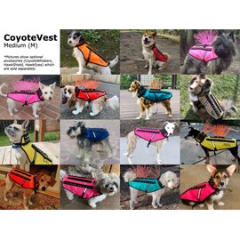 CoyoteVest Dog Harness Protection Vest, Reflective Dog Accessories with Spikes to Shield Your Pet from Raptor and Animal Attacks, Proudly Made in America (Medium, Turquoise)