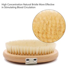 HONZUEN Body Brush Natural Bristles, Dry Brush, Ideal Bath Brush for Improving Circulation and Lymphatic Drainage, Tightening the Skin and Eliminating Cellulite