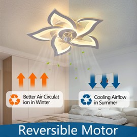 Dalouguan Flush Mount Ceiling Fan with Lights, 24" White ,Remote Control, 6 Speeds 3 Light Color Low Profile Ceiling Fan for Kitchen