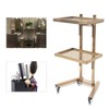 Salon Tray Cart with Storage Platform, 2 Tier Trolley Cart