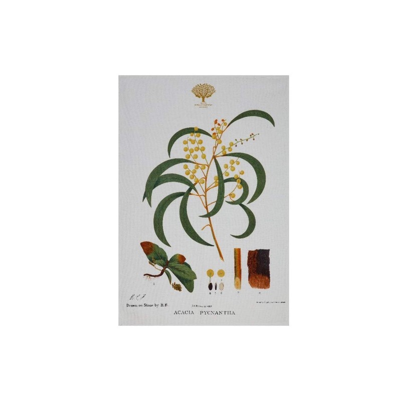 Maxwell & Williams Royal Botanic Gardens Australian Botanics Tea Towel