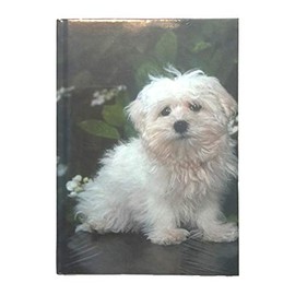 SDM Dogs Puppies Glossy Hardback Lined Note Pad Notebook (Slightly Smaller Than A5) (Bichon Frise)