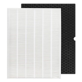 116130 HEPA Replacement Filter H 116130 for Winix 5500-2 Plasmawave Air Purifier and Models AM80-1 PCS HEPA Filter and 1 PCS Activated Carbon Filter Combo Pack