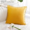PiccoCasa Velvet Pillow Covers, 1PCS Pom Pom Christmas Throw Pillow