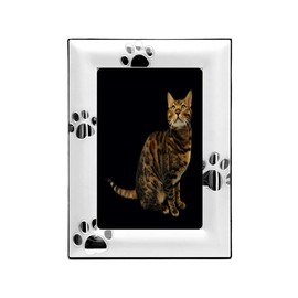 Brillibrum B-Ware Picture Frame Paw Prints 10 x 15 cm Photo Frame Silver-Plated Dog Paws Matt Gift Cat Tapsen Photo Frame Dog Keepsake