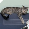 WANGCL Anti-Scratch Cat Scratching Deterrent Tape(4 inches x 5.5 yards),