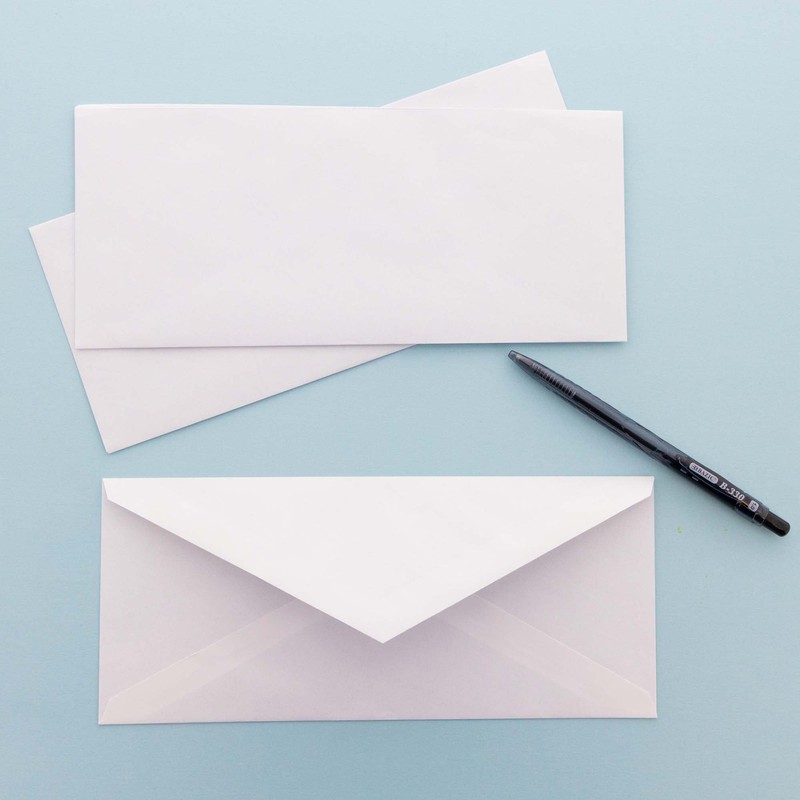BAZIC 5049#10 Security Envelope w/Gummed Closure (40/Pack)