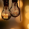 Visther A60 Edison Bulbs 60 Watt Incandescent Light Bulbs Dimmable,