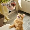 MeiXtrude Flying Bird Cat Toy, Flapping Wings Remote Control Interactive