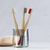 100% Natural Bamboo Toothbrushes - Premium & Classic Range, Soft