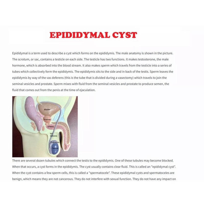 Organico Herbal para hombres machos - Made in USA -