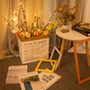 3 Pack Twig Lights, USB Plug in Branches Lights with